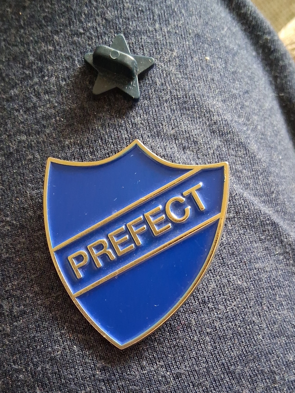 Prefect Blue Enamel Shield Pin - Men Other Accessory